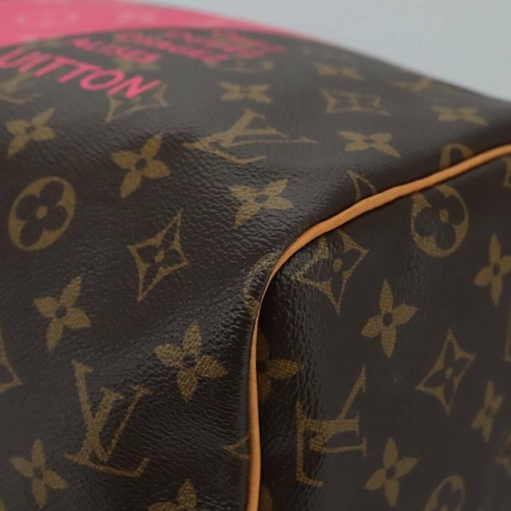 Louis Vuitton Handbag