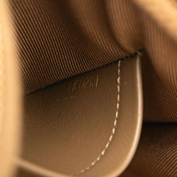 Louis Vuitton Crossbody Bag