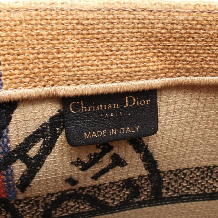Dior Book Tote