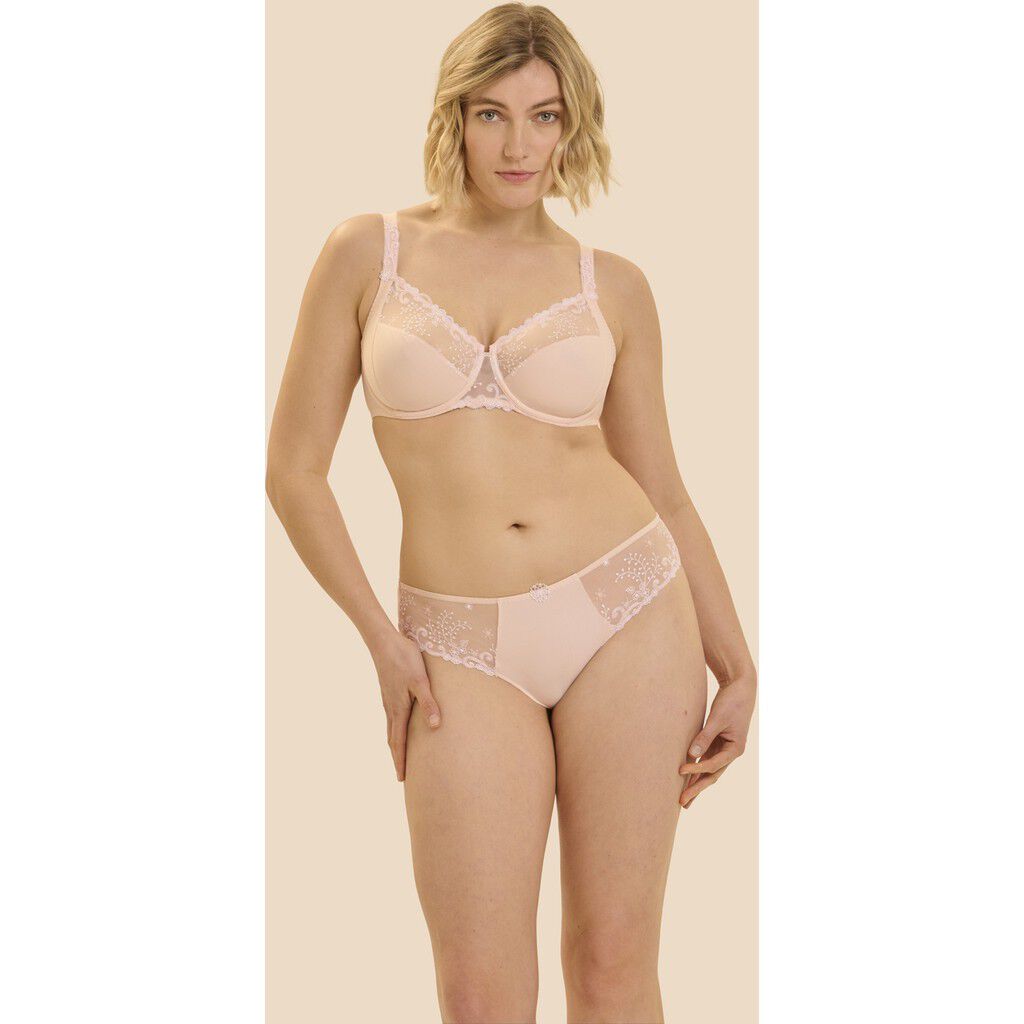 D&Eacute;LICE Brief