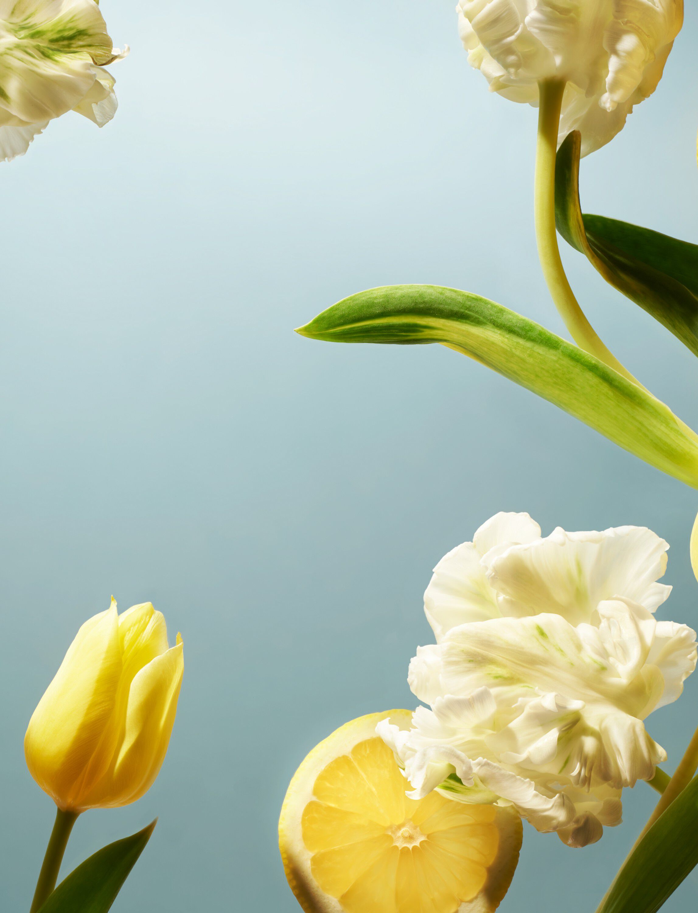 Amsterdam Collection Refill Home Perfume 400ml