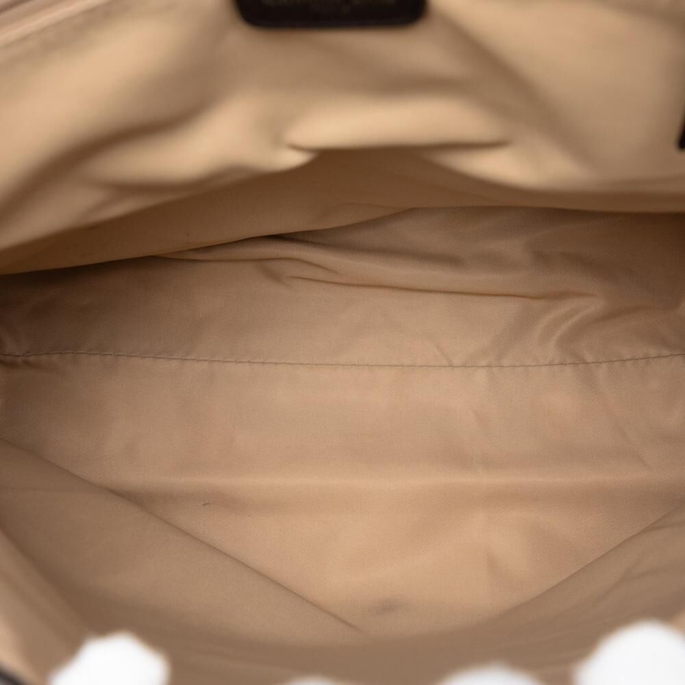 Dior Crossbody Bag