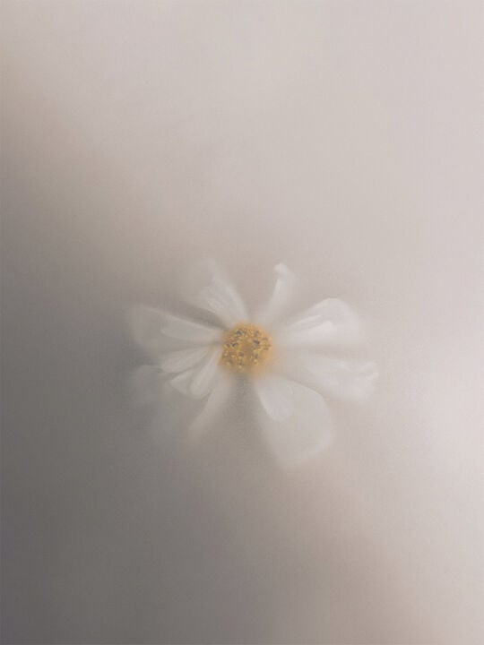 Olfacte Scented Candle, En Passant,