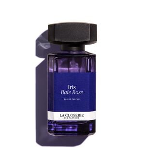IRIS BAIE ROSE