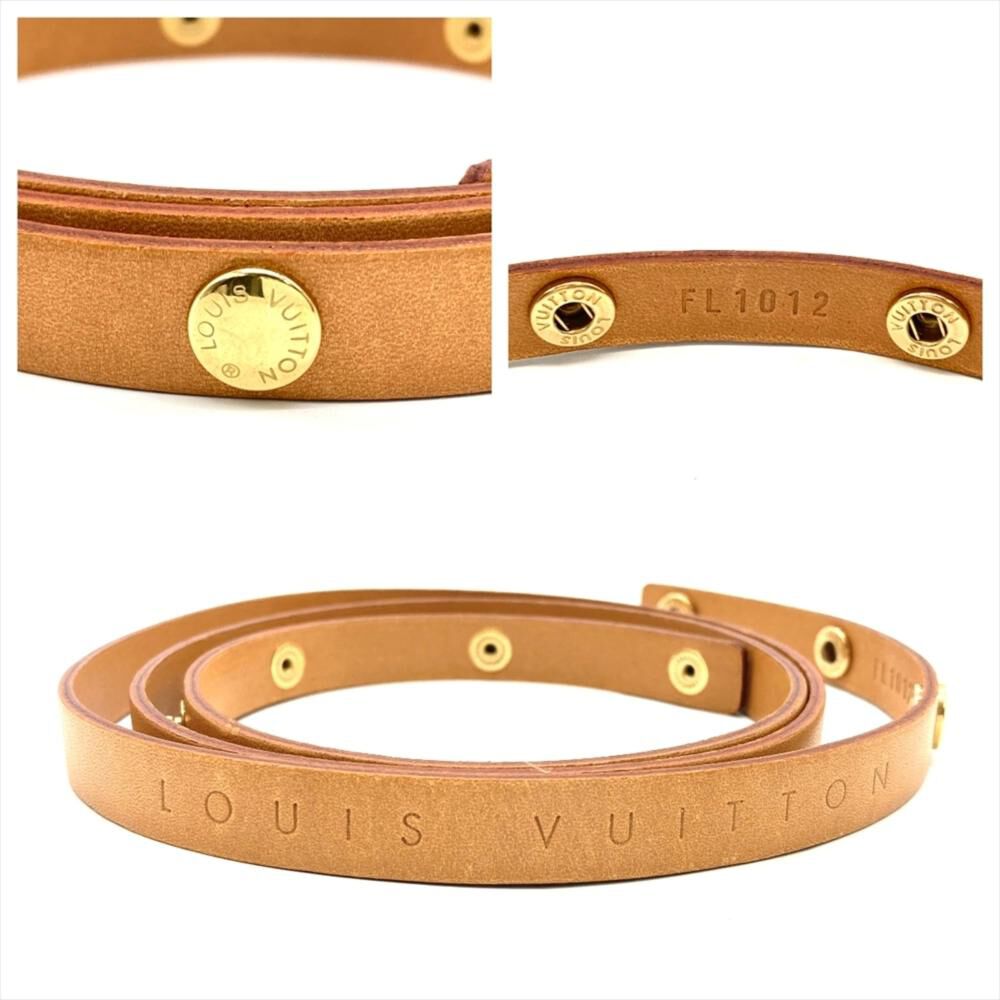 Louis Vuitton Florentine Pochette