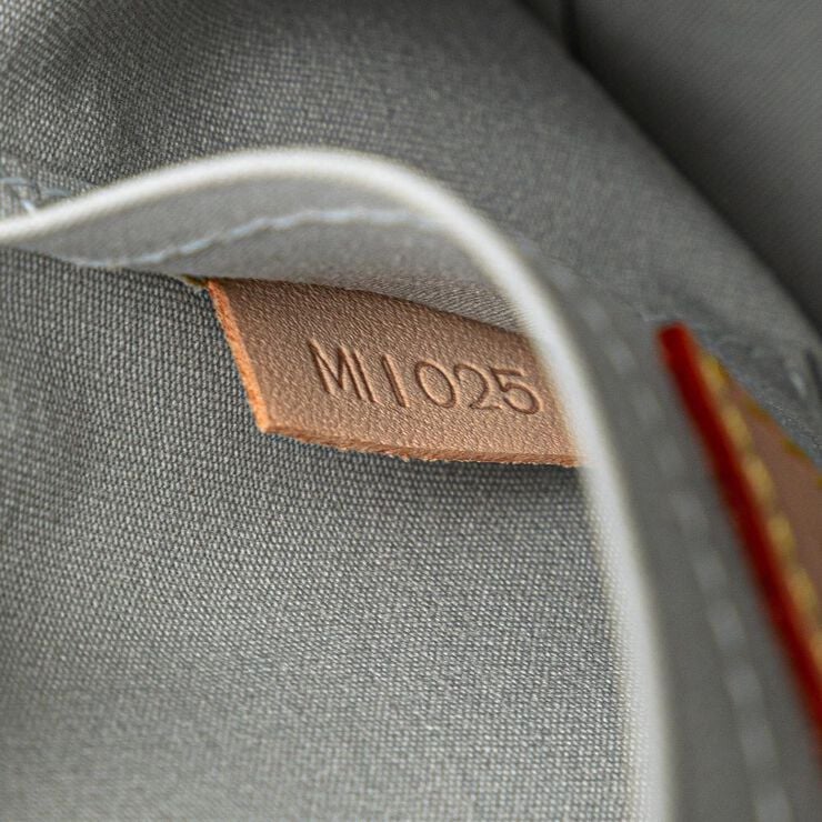 Louis Vuitton Crossbody Bag