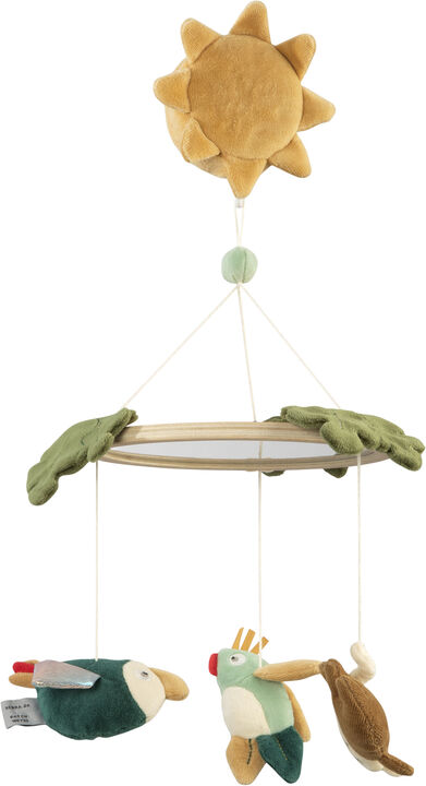 Musik- & spejluro, Safari