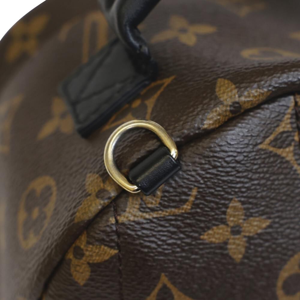 Louis Vuitton Backpack