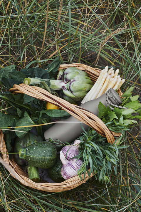 GC Termo drikkeflaske 50 cl grå