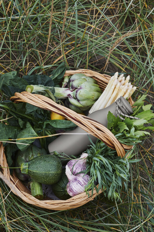 GC Termo drikkeflaske 50 cl grå