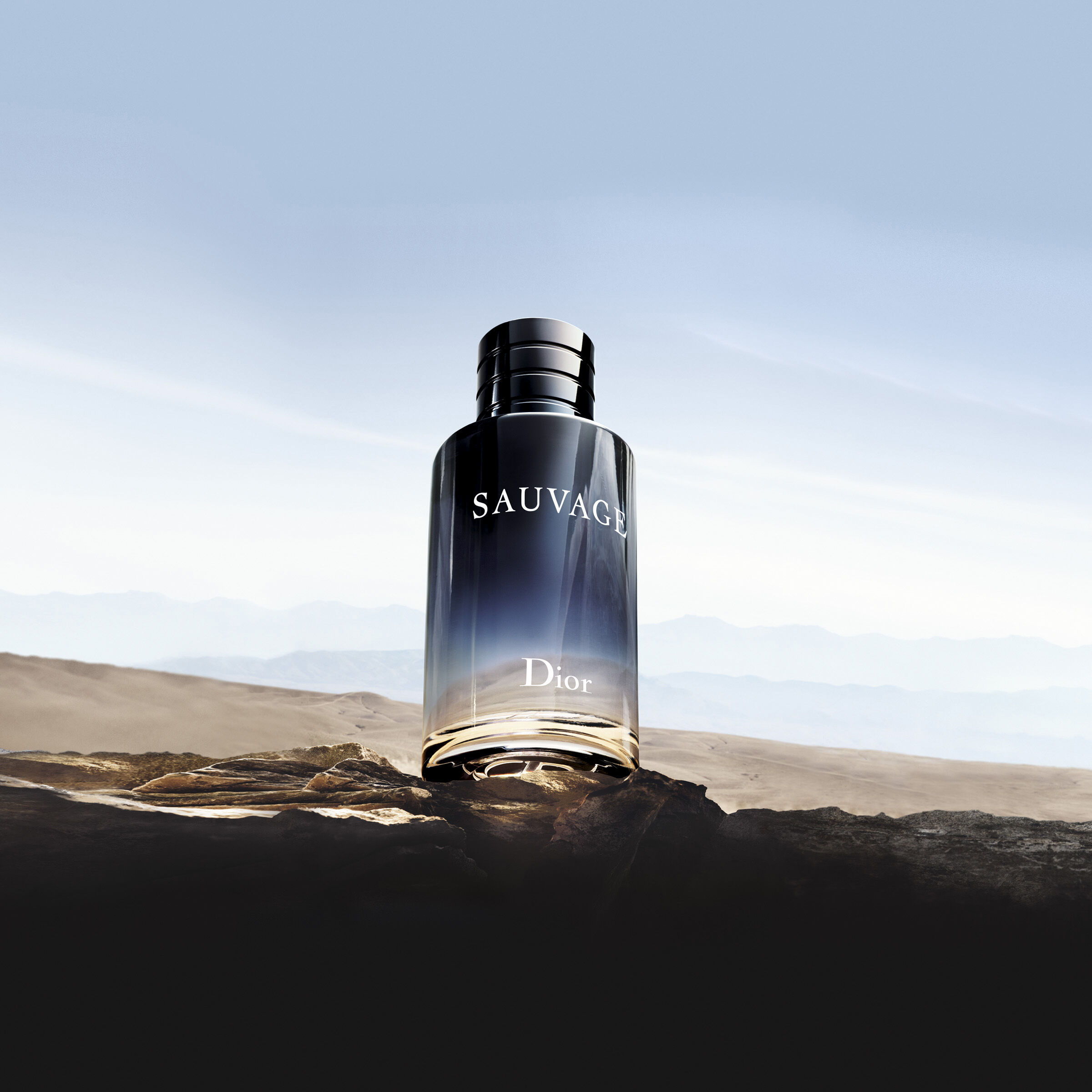 Sauvage Eau de toilette