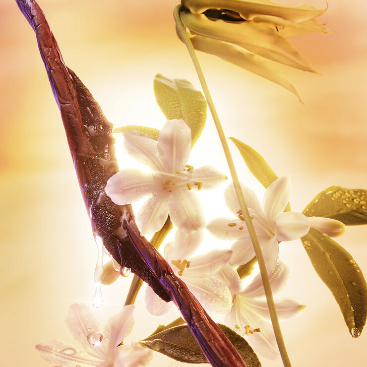 Joyphoria - Eau de Parfum