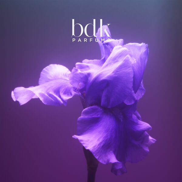 GRIS CHARNEL - Eau de Parfum 100 ML