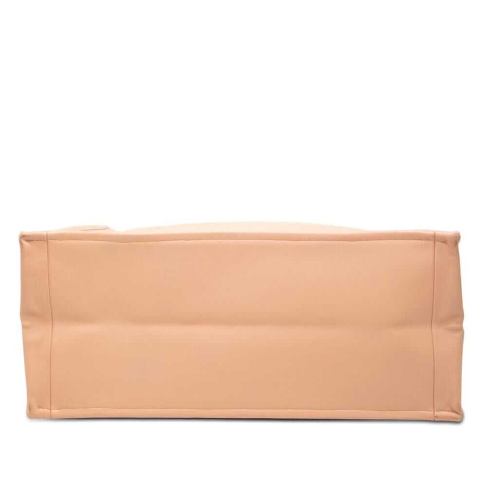 Dior Book Tote