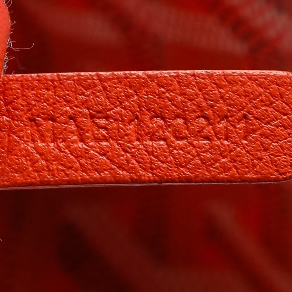 Goyard St Louis Tote