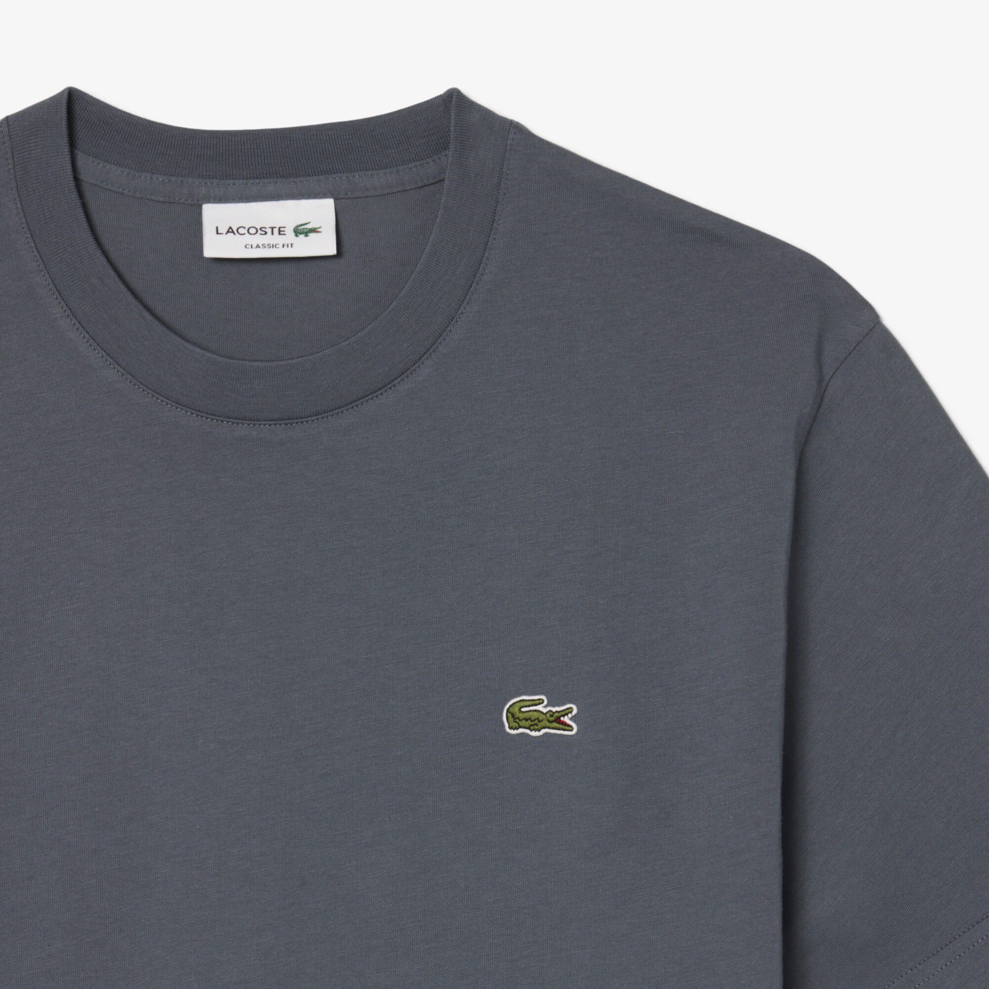 CREWNECK T-SHIRTS MALE ADULT KNIT