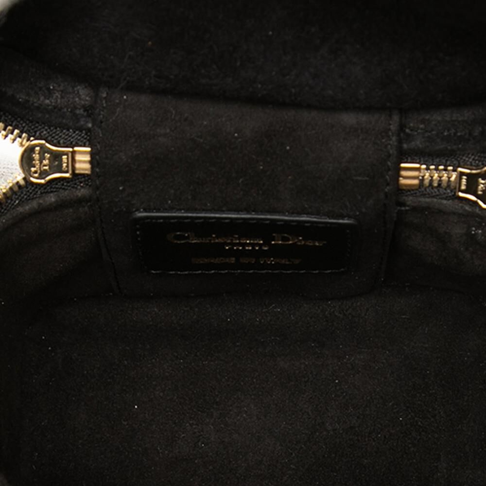 Dior Vanity Bag