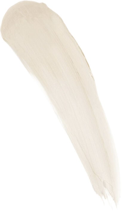 Shadow Insurance (Environmental Defense)