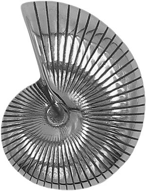 Shell Metal Sticker