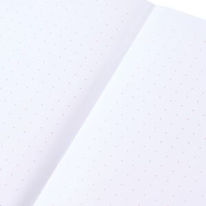 Pantone BOOKLETS SET OF 2 DOTTED - Light Pink