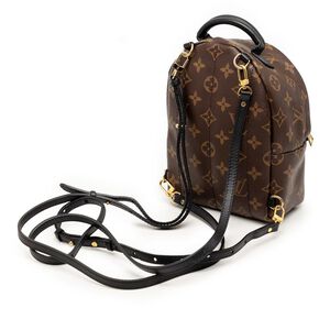 Louis Vuitton Palm Springs