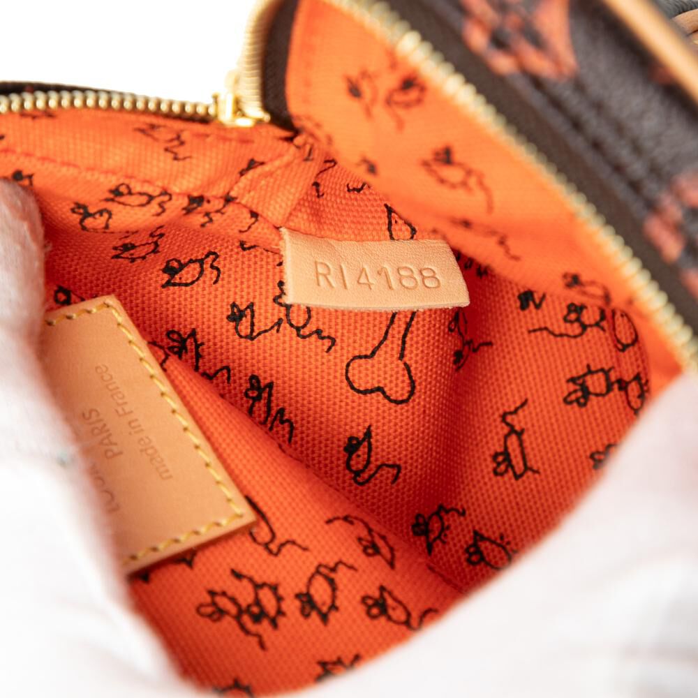 Louis Vuitton Crossbody Bag