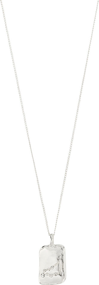 CAPRICORNUS recycled Zodiac Sign necklace, silver-plated