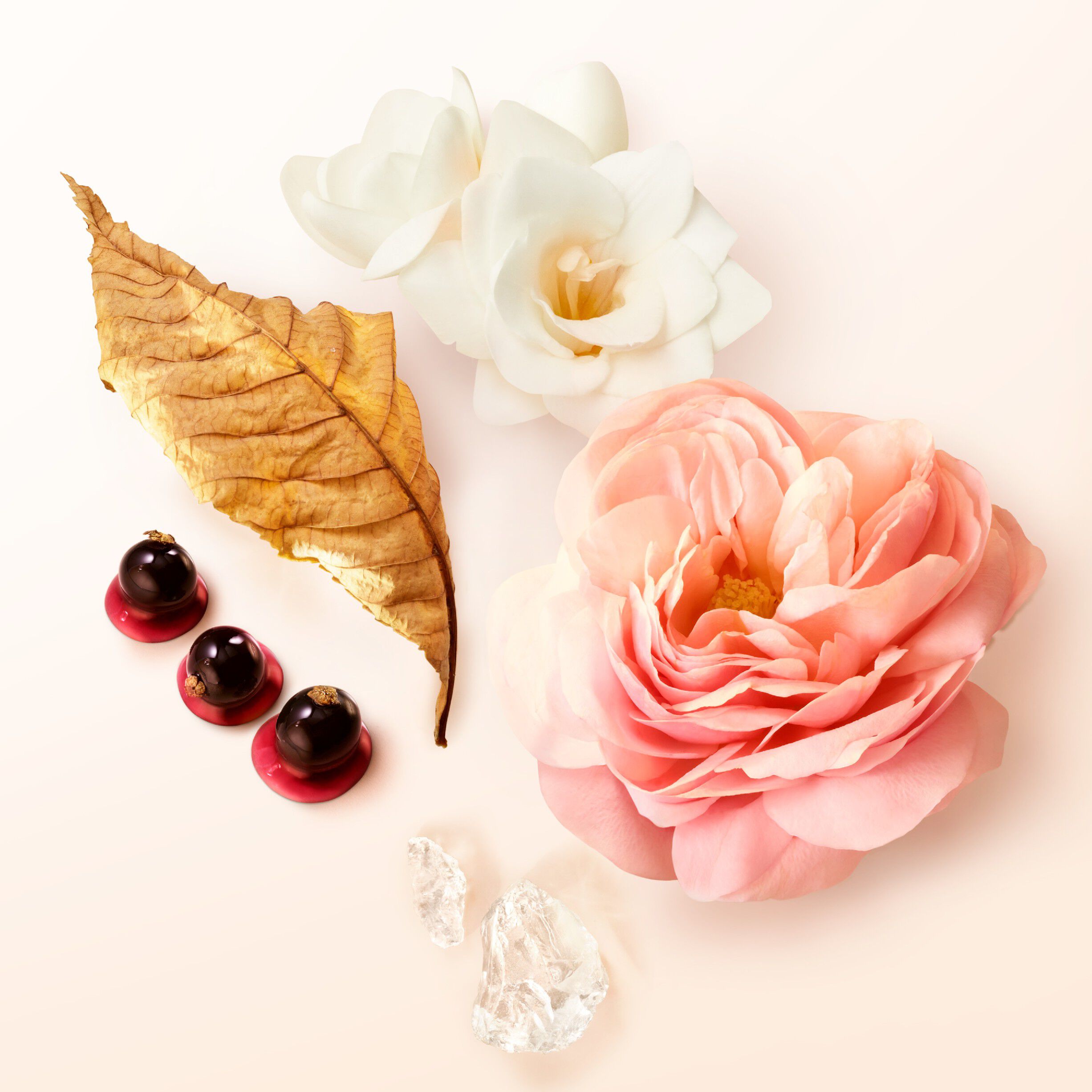 S&igrave; Eau de Parfum