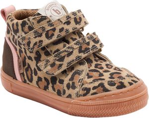 bisgaard cuba tex