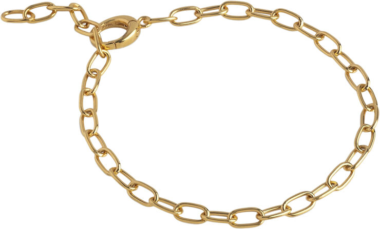 Bracelet, Medium Charm