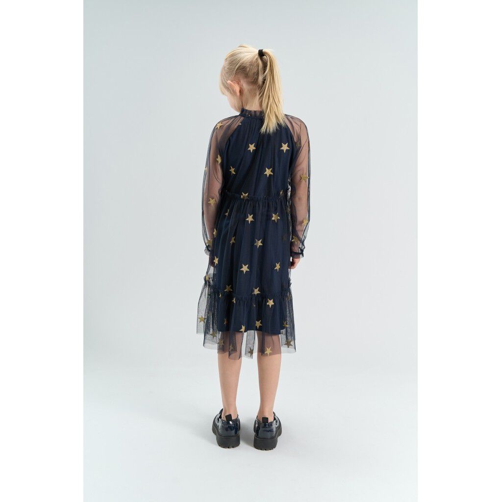 Tnyudelle Mesh L_S Dress