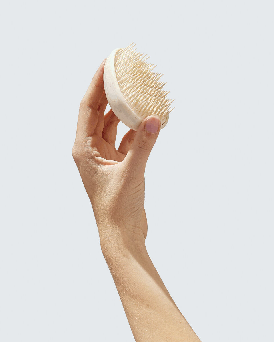 Wet Hair Detangler Brush, White