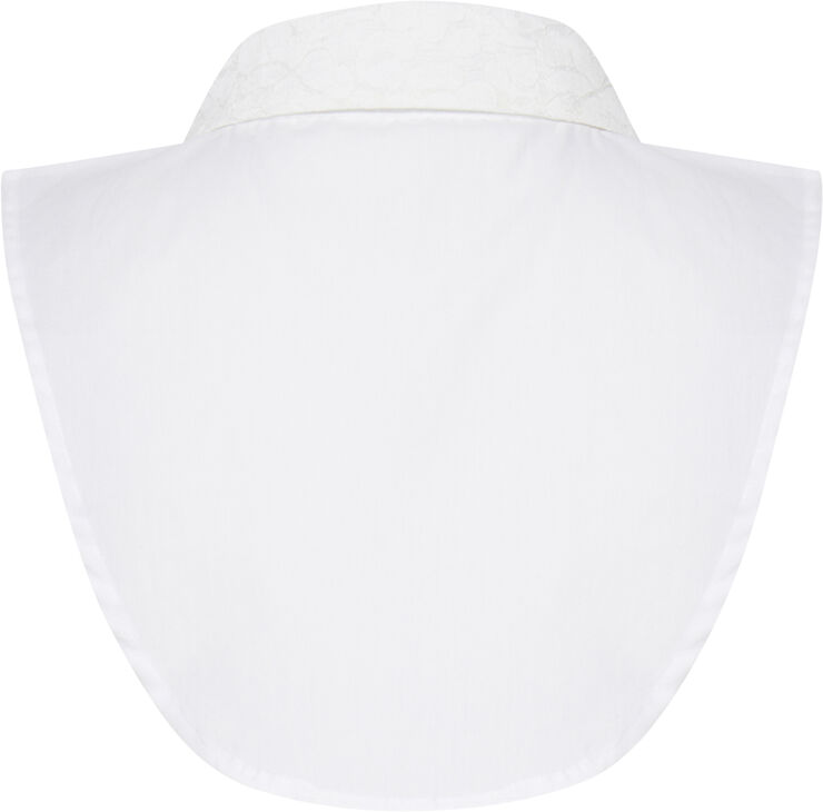 FAZACOLLAR 1 Accessoires