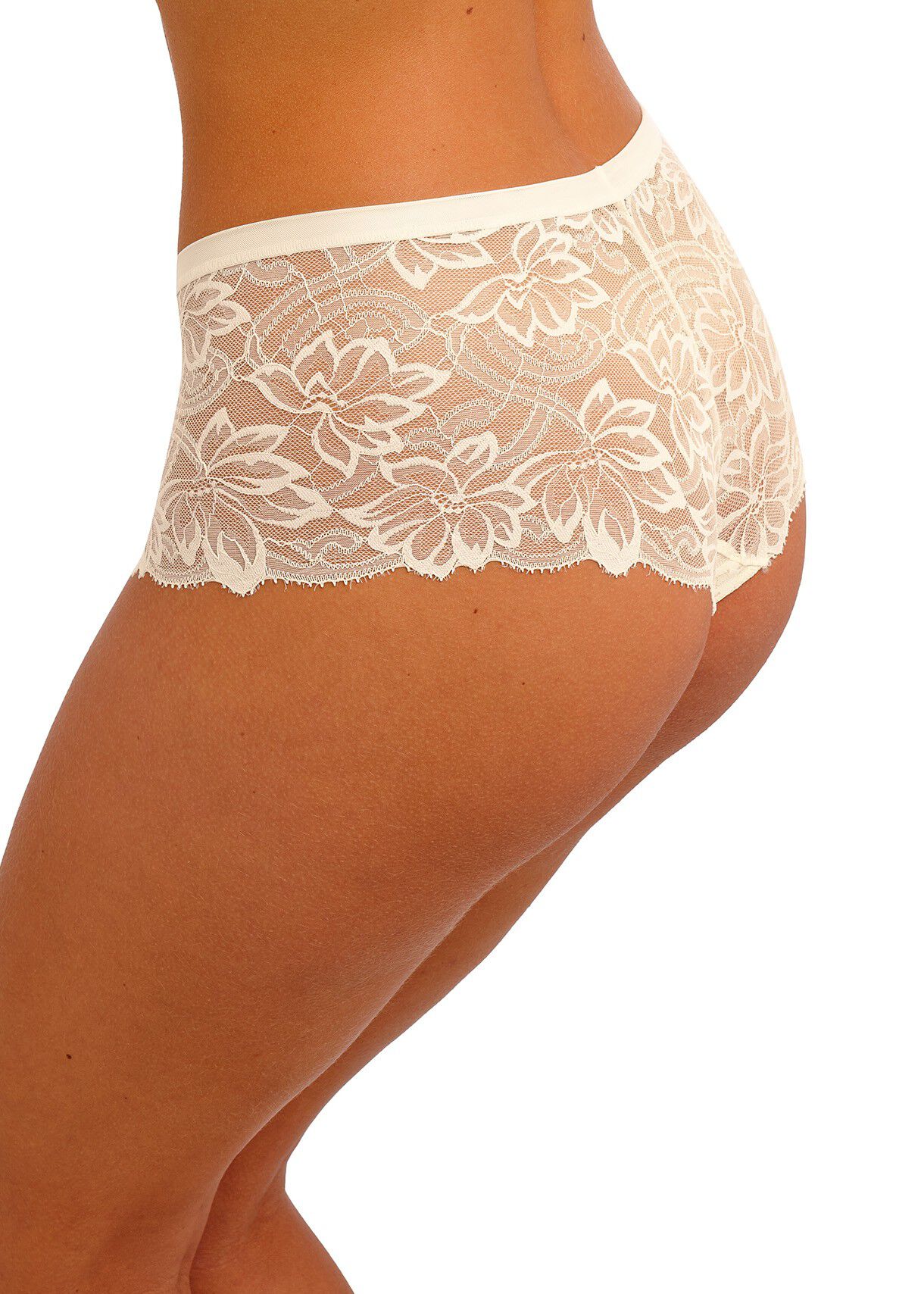 ABELLIA SHORT