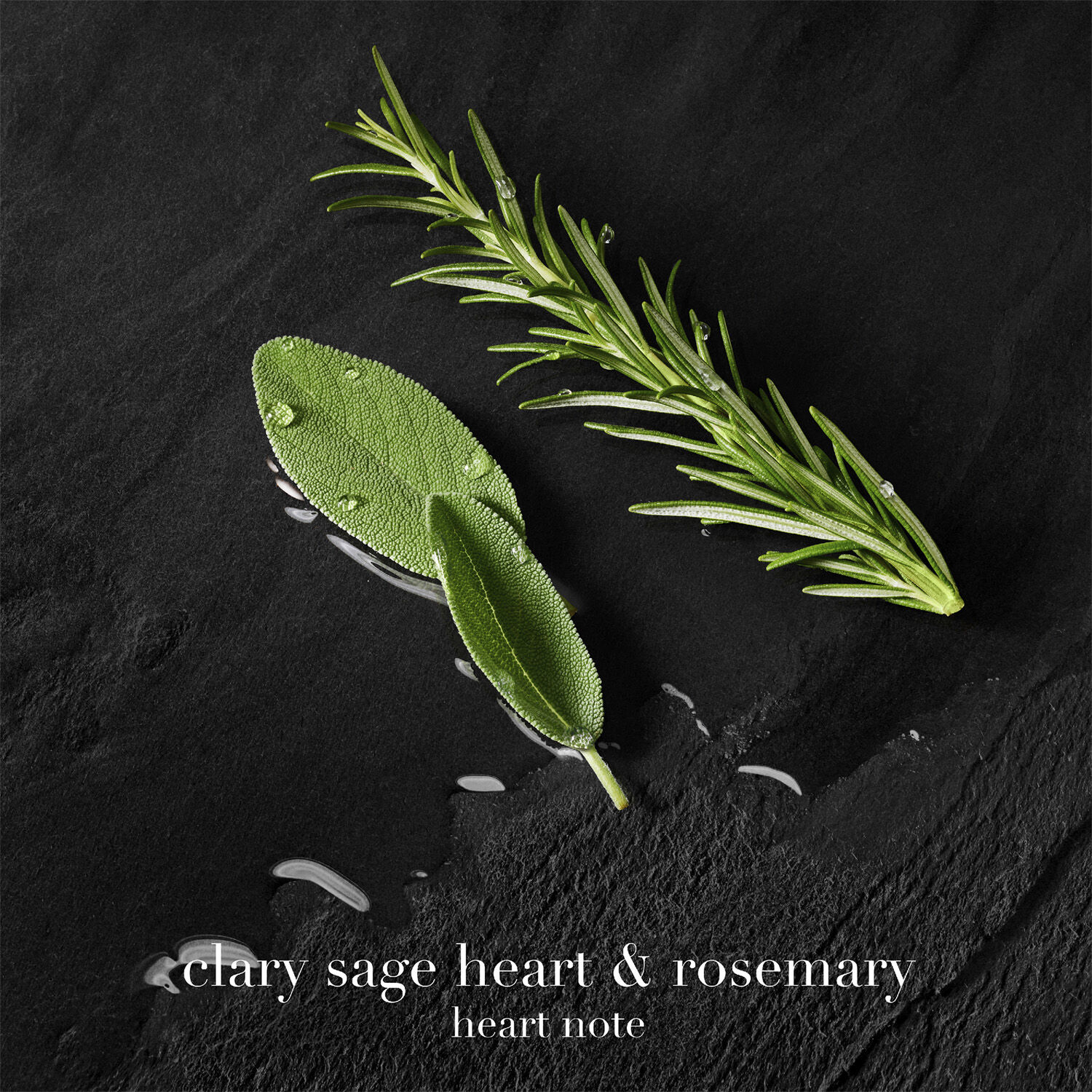 Acqua di Gi&ograve; Parfum