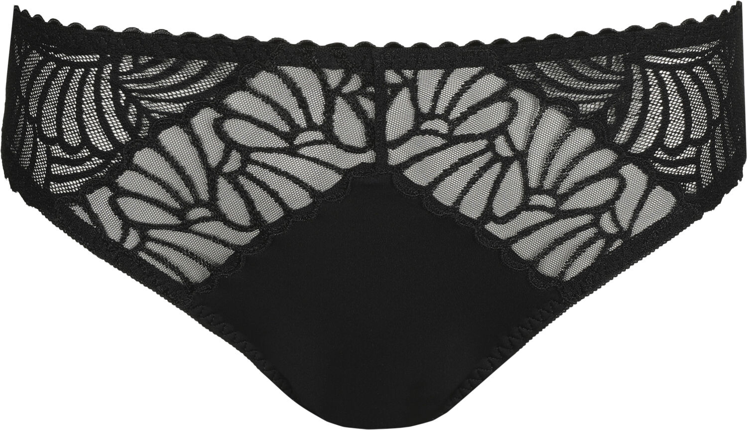 Gallipoli rio briefs