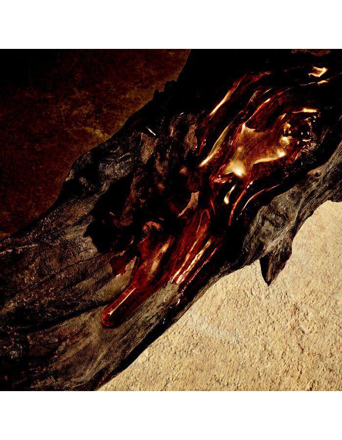 Dolce&Gabbana Devotion Pour Homme Parfum 100 ml