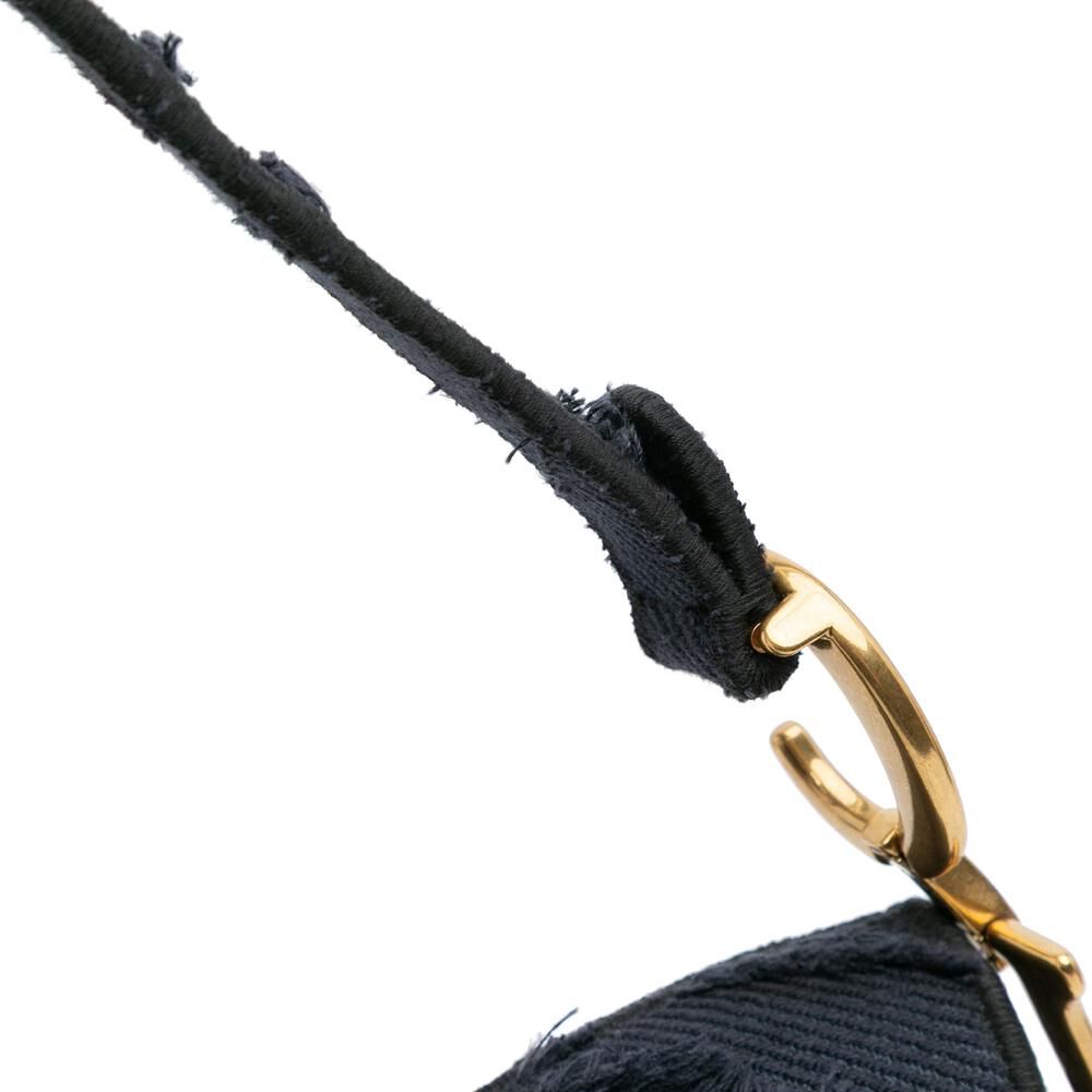 Dior Saddle Bag