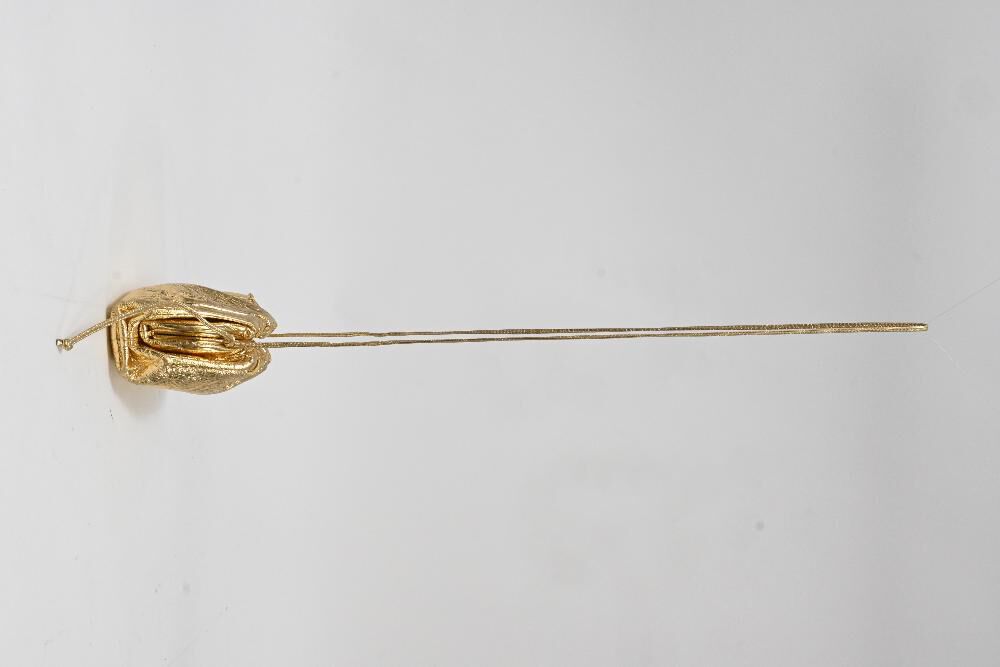 Bottega Veneta Crossbody Bag