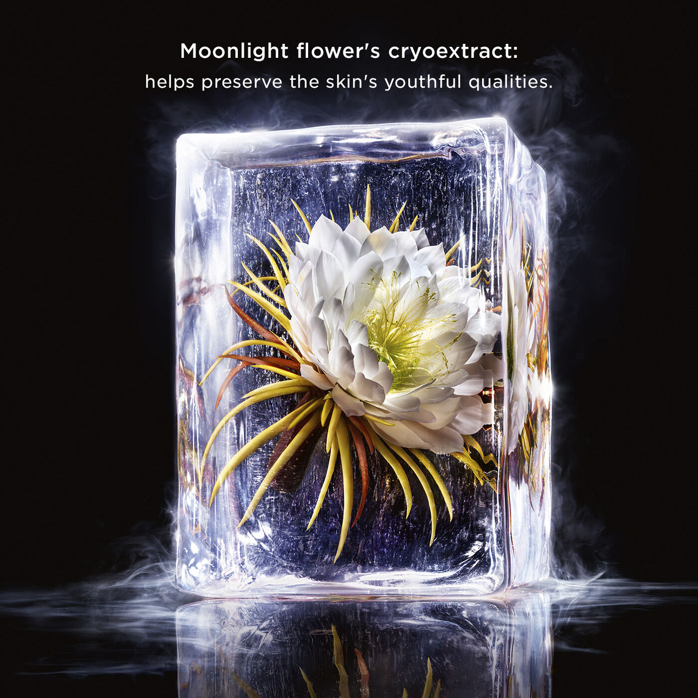 Precious La Cr&egrave;me Age-Defying Moisturiser