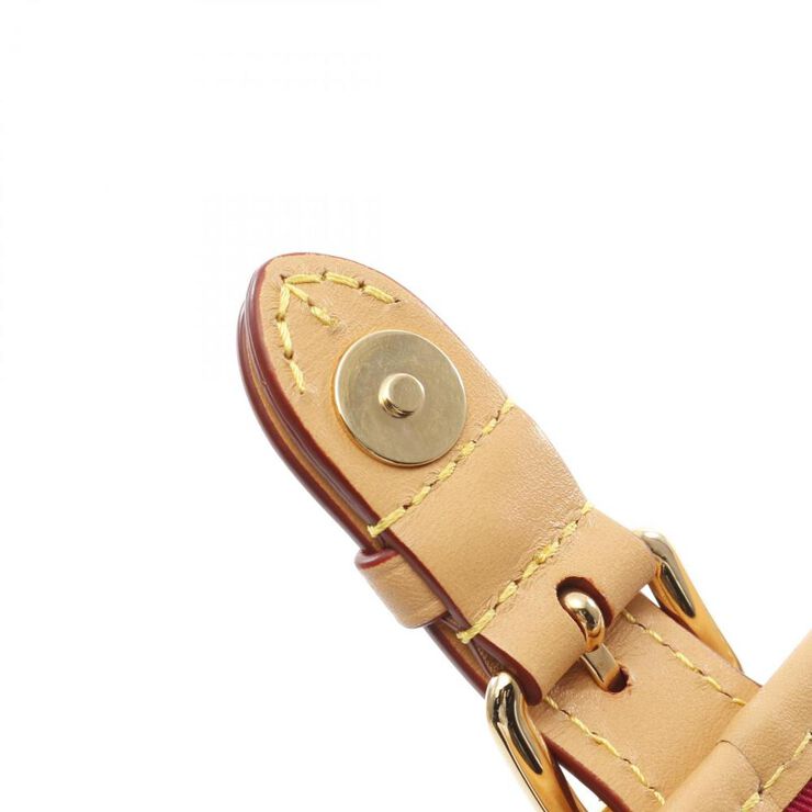 Louis Vuitton Crossbody Bag