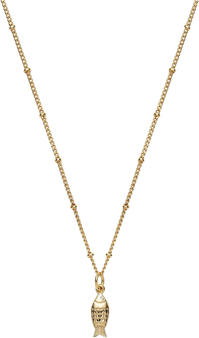 Halsband med h&auml;nge