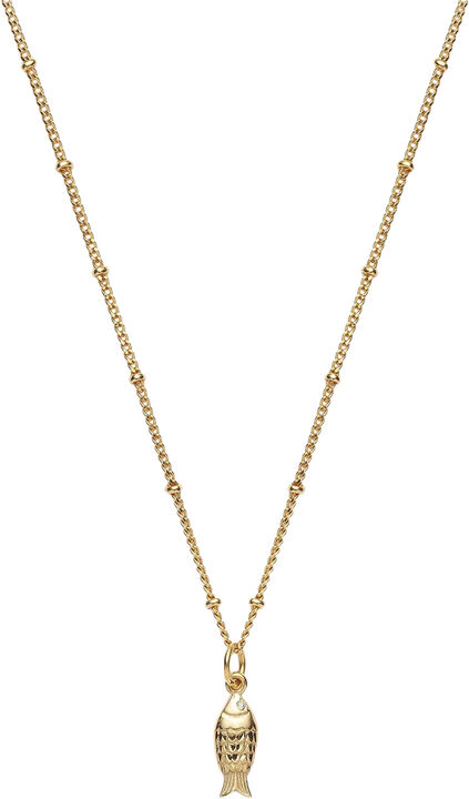 Global Goal #14: Fish