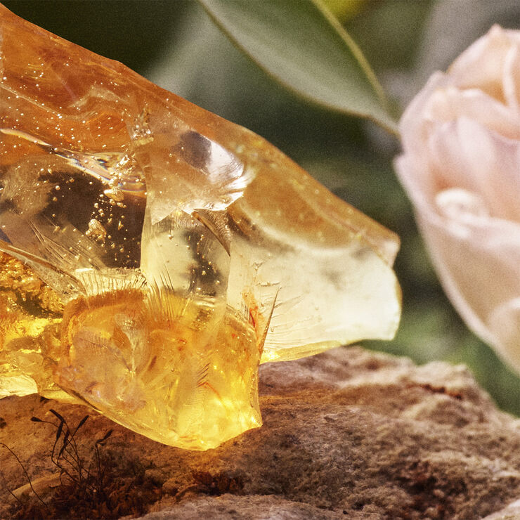 Chloé Eau de Parfum