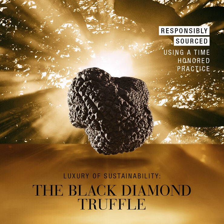 Re-Nutriv Ultimate Diamond Transformative Energy Crème