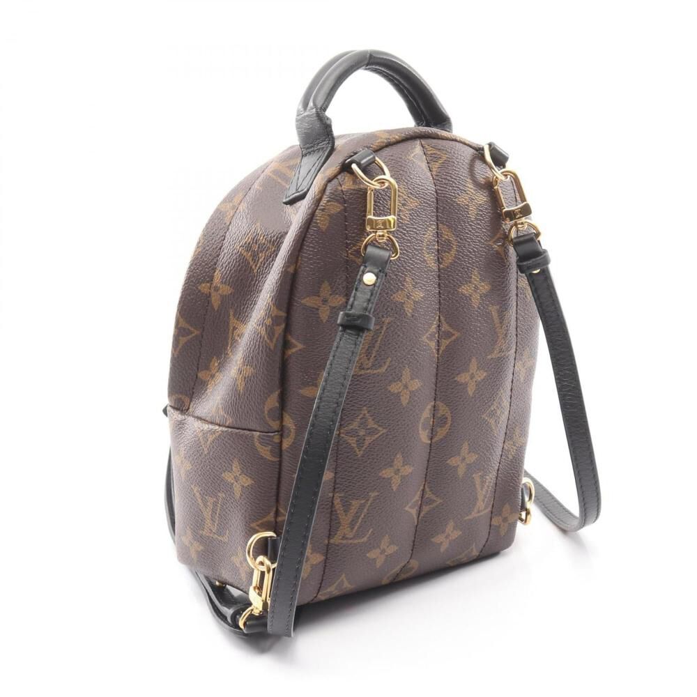 Louis Vuitton Palm Springs