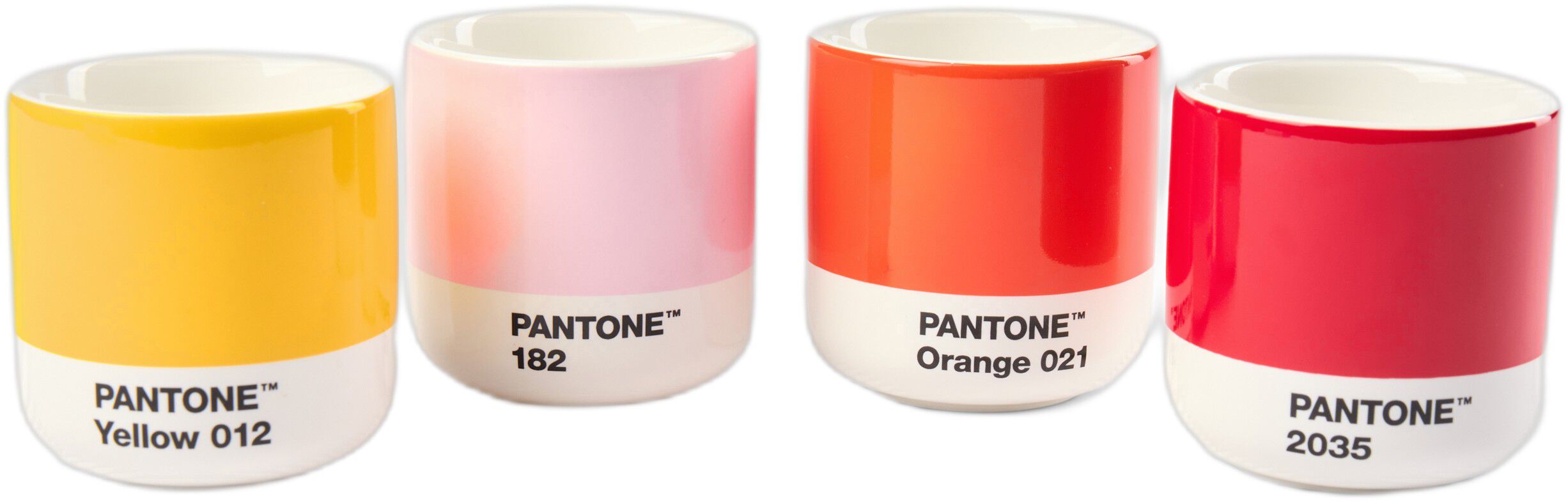 Pantone MACHIATO CUP 100ml Red 2035 C