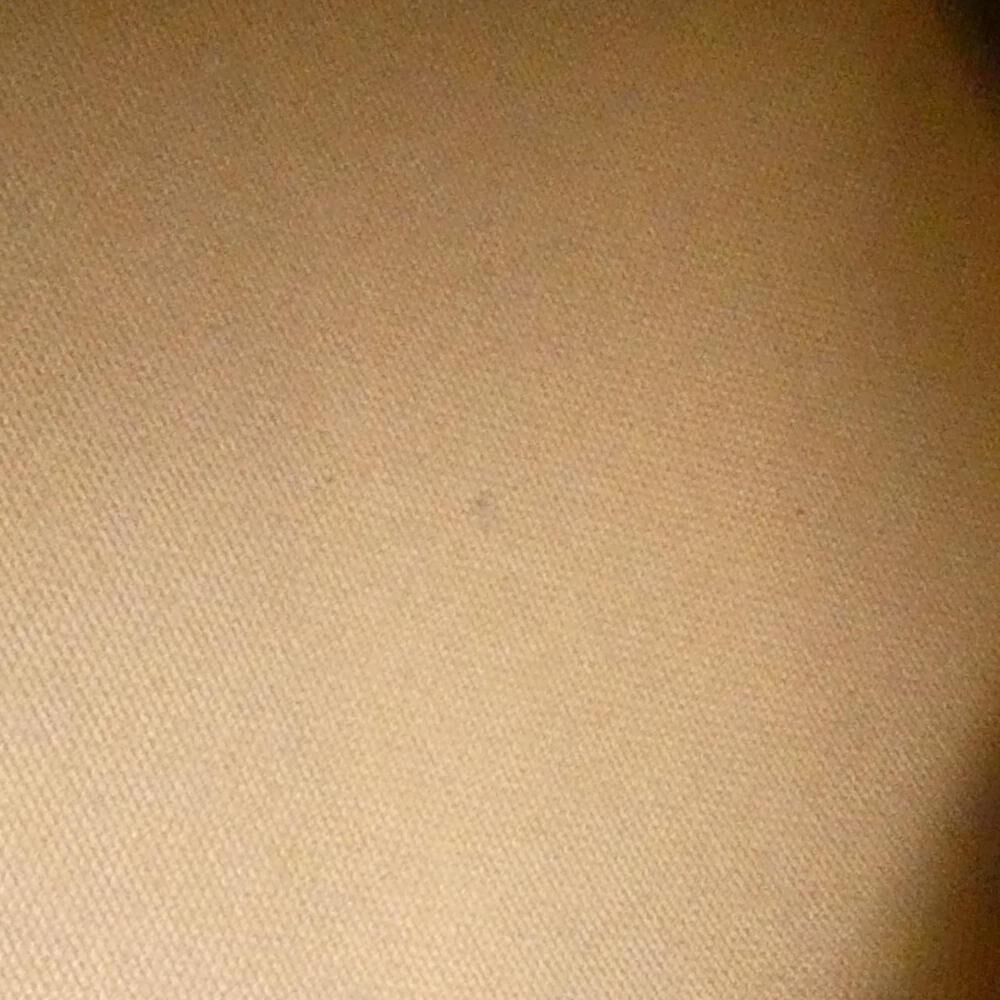 Louis Vuitton Neverfull