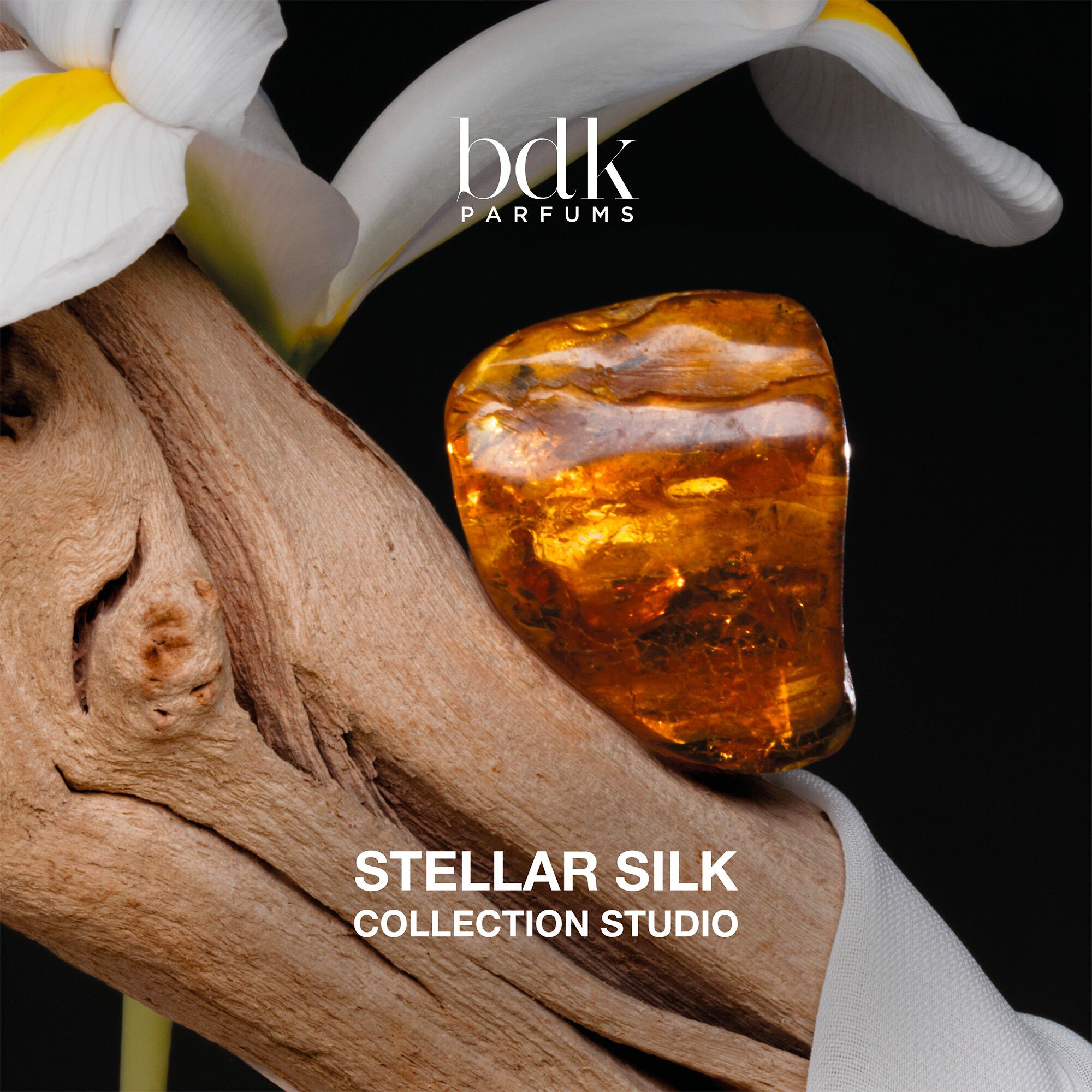BDK STELLAR SILK 50 ML