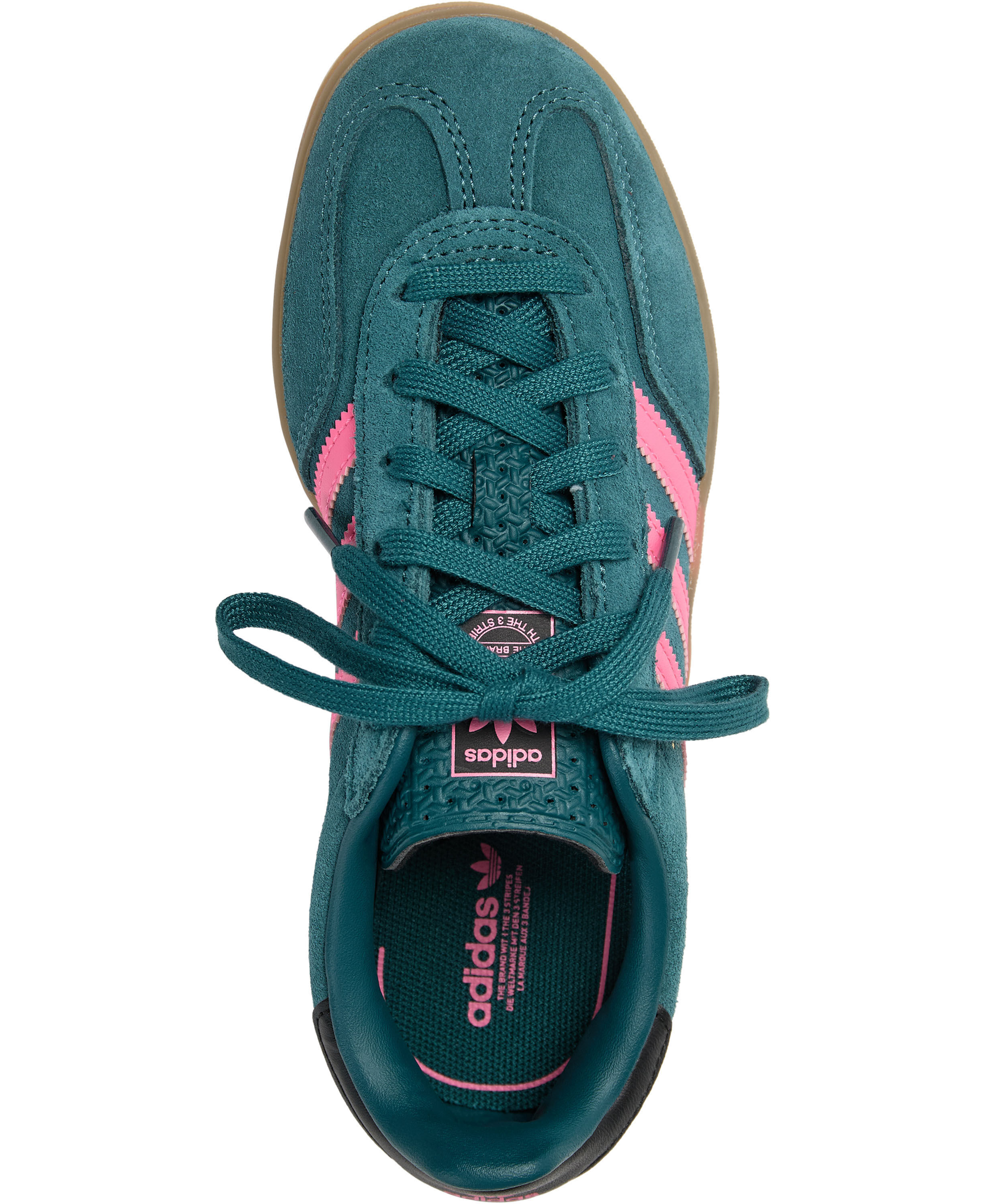 GAZELLE INDOOR C